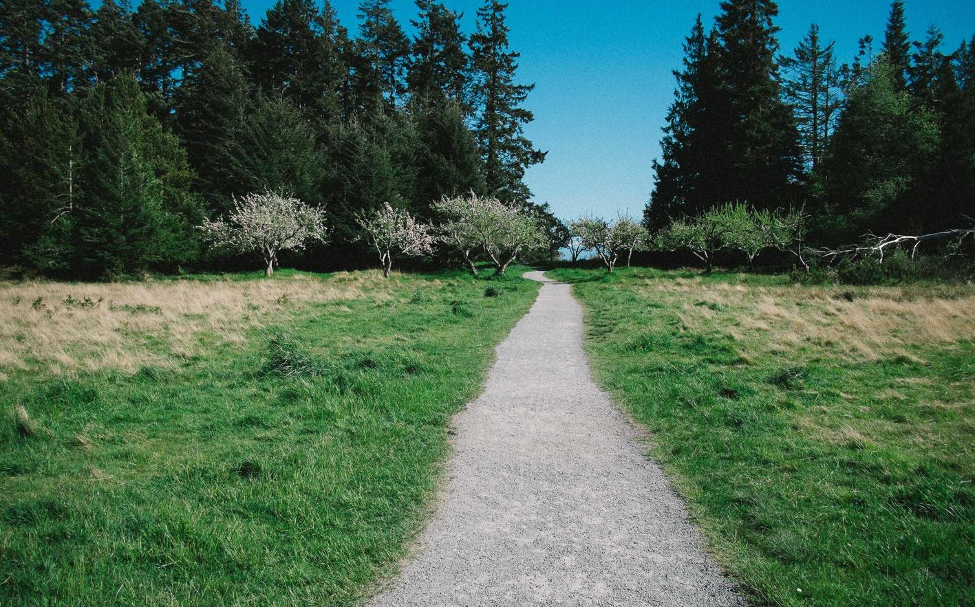 全新微信买卖:流量卡如何激发信息消费及相关产业