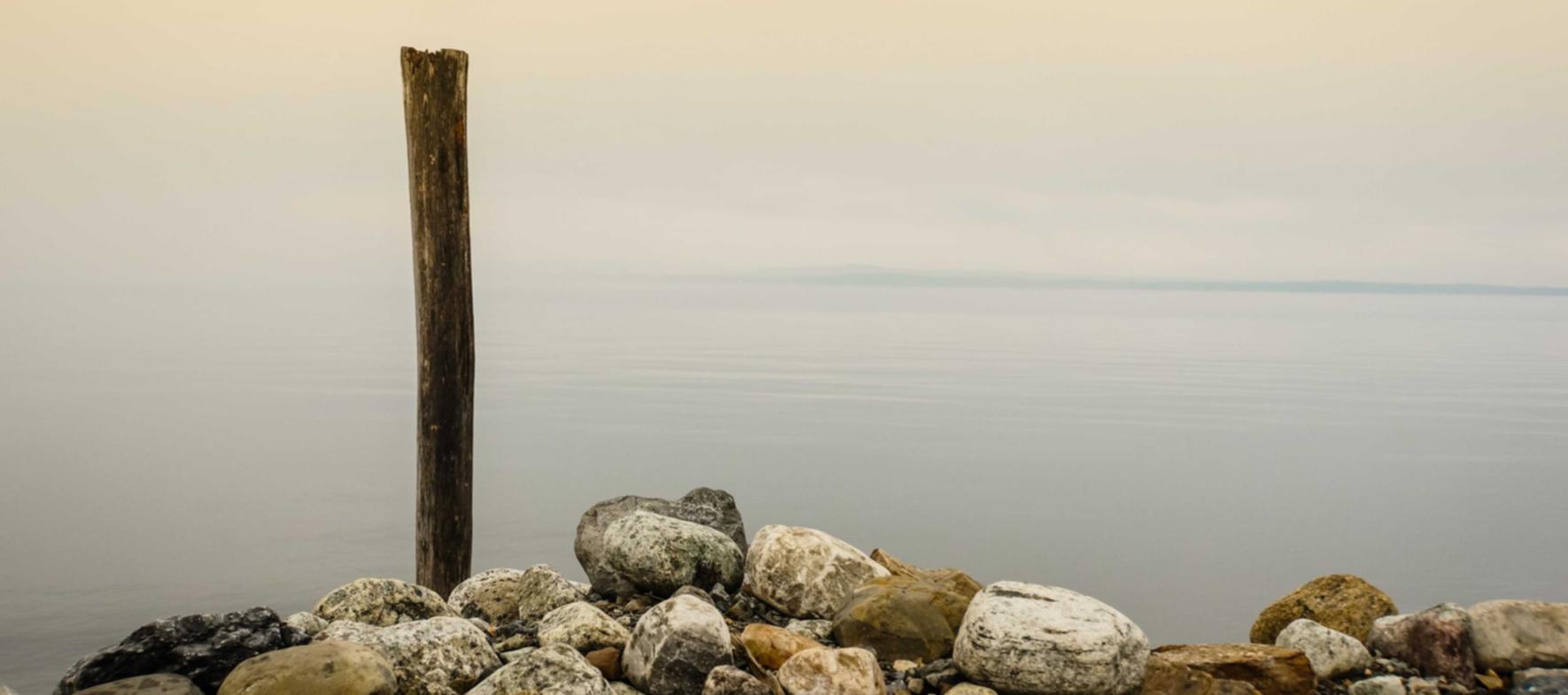 二战风云2：牛宝APP详情下载教程官网