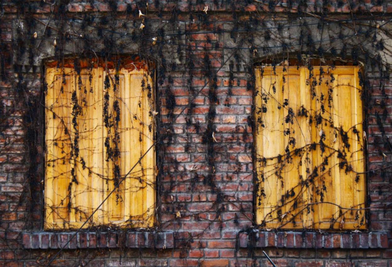 曼切斯特双爆:婚介代理平台有哪些平台