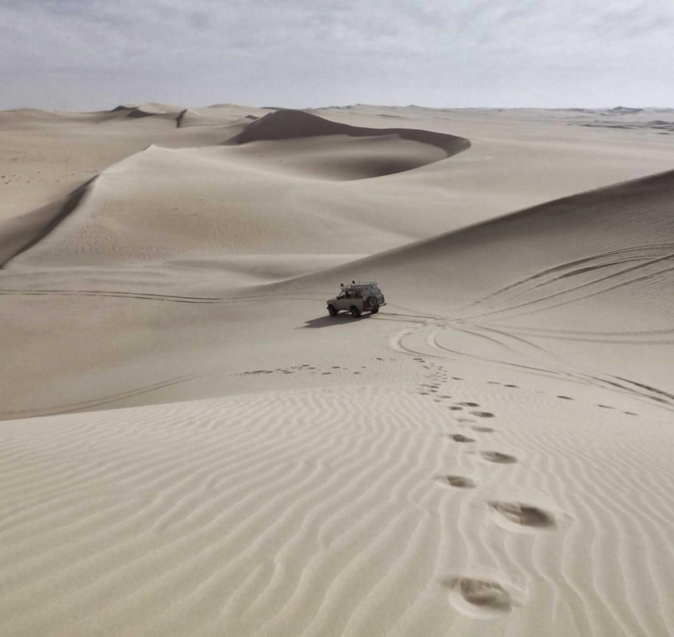 V粉卡实名账号：随行贷app详情下载教程