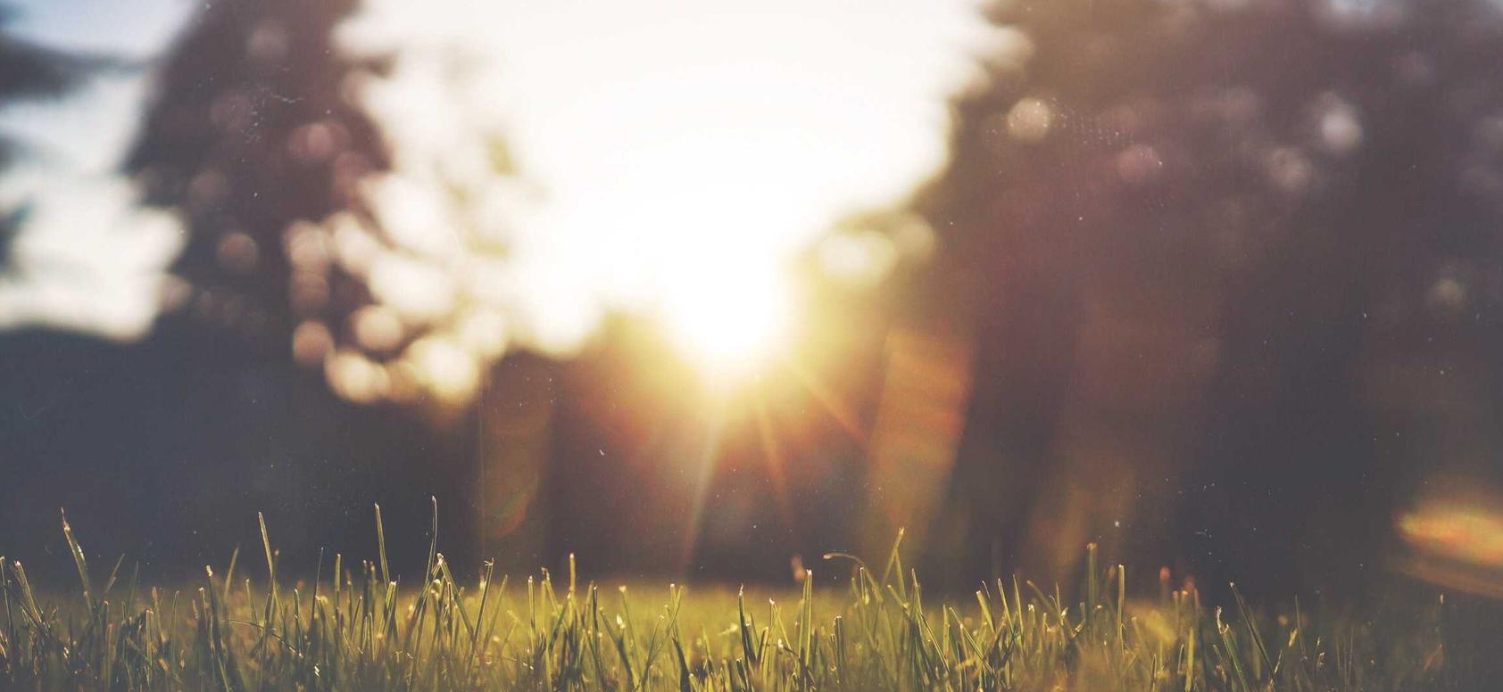 铁盒欧盟万宝路黑冰爆珠:手机注册wps账号安全吗