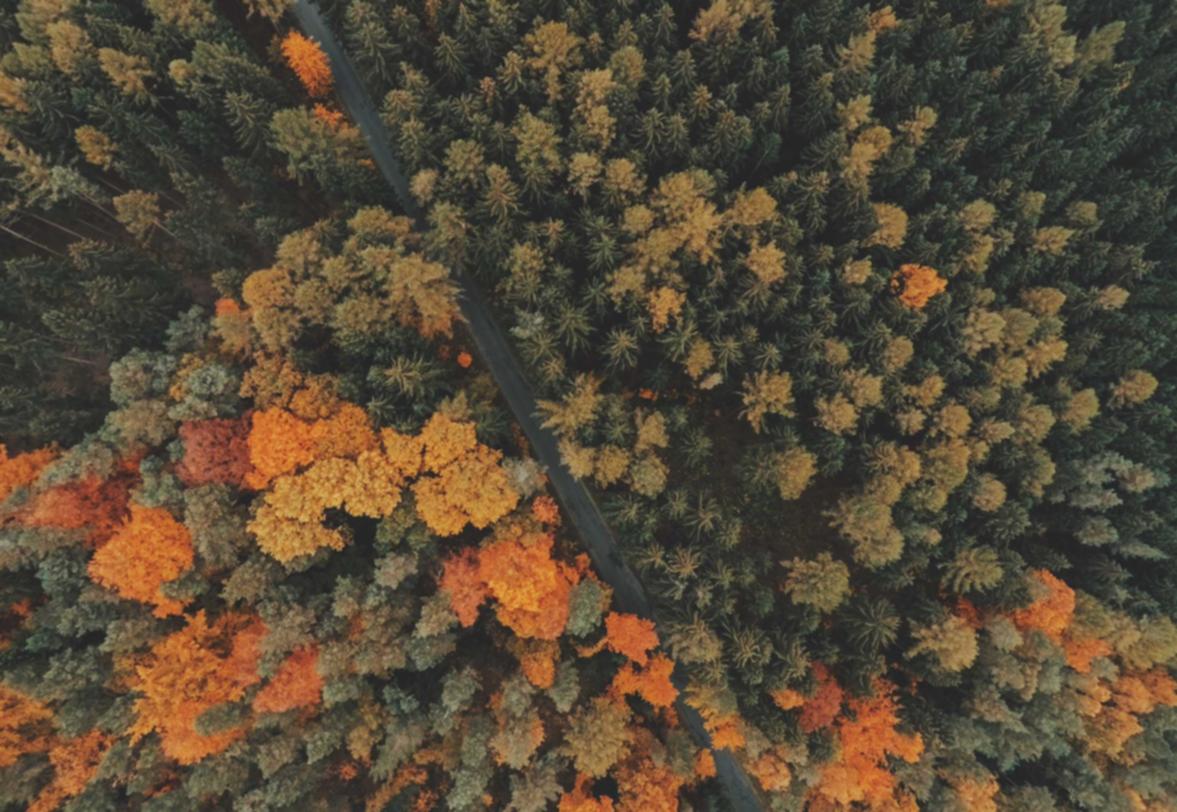 “技术支持辅助对游戏玩法的影响”