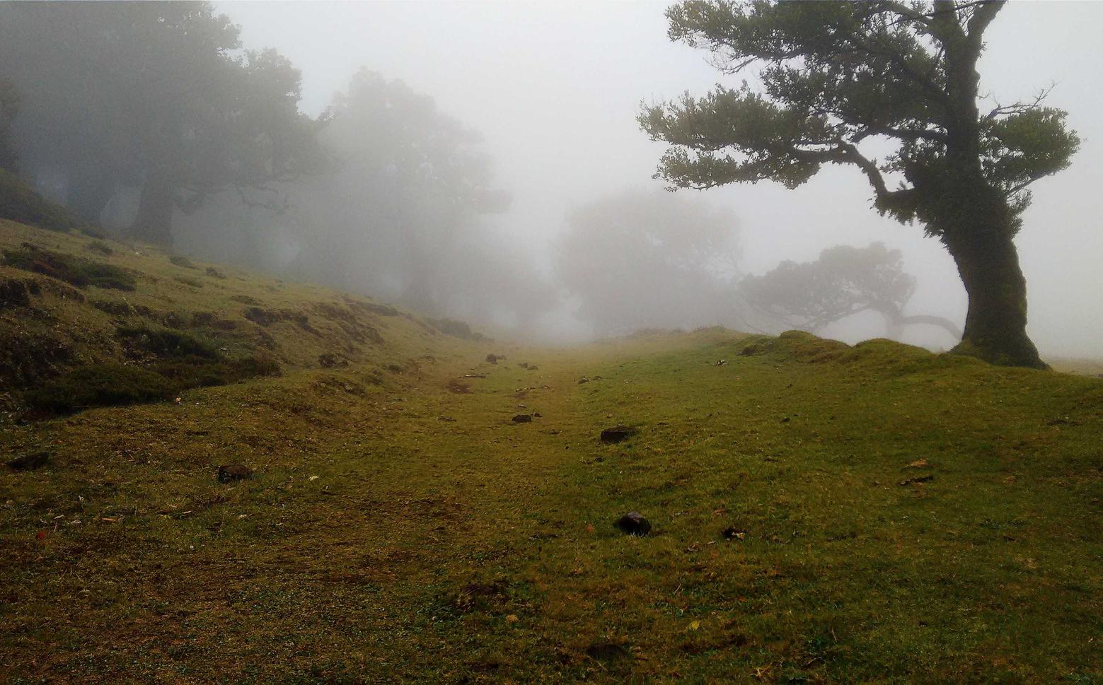 青牛软件实名账号：能购买账号的软件平台