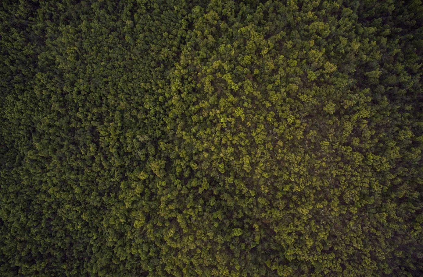 CC在线压力测试|网页平台代理加盟