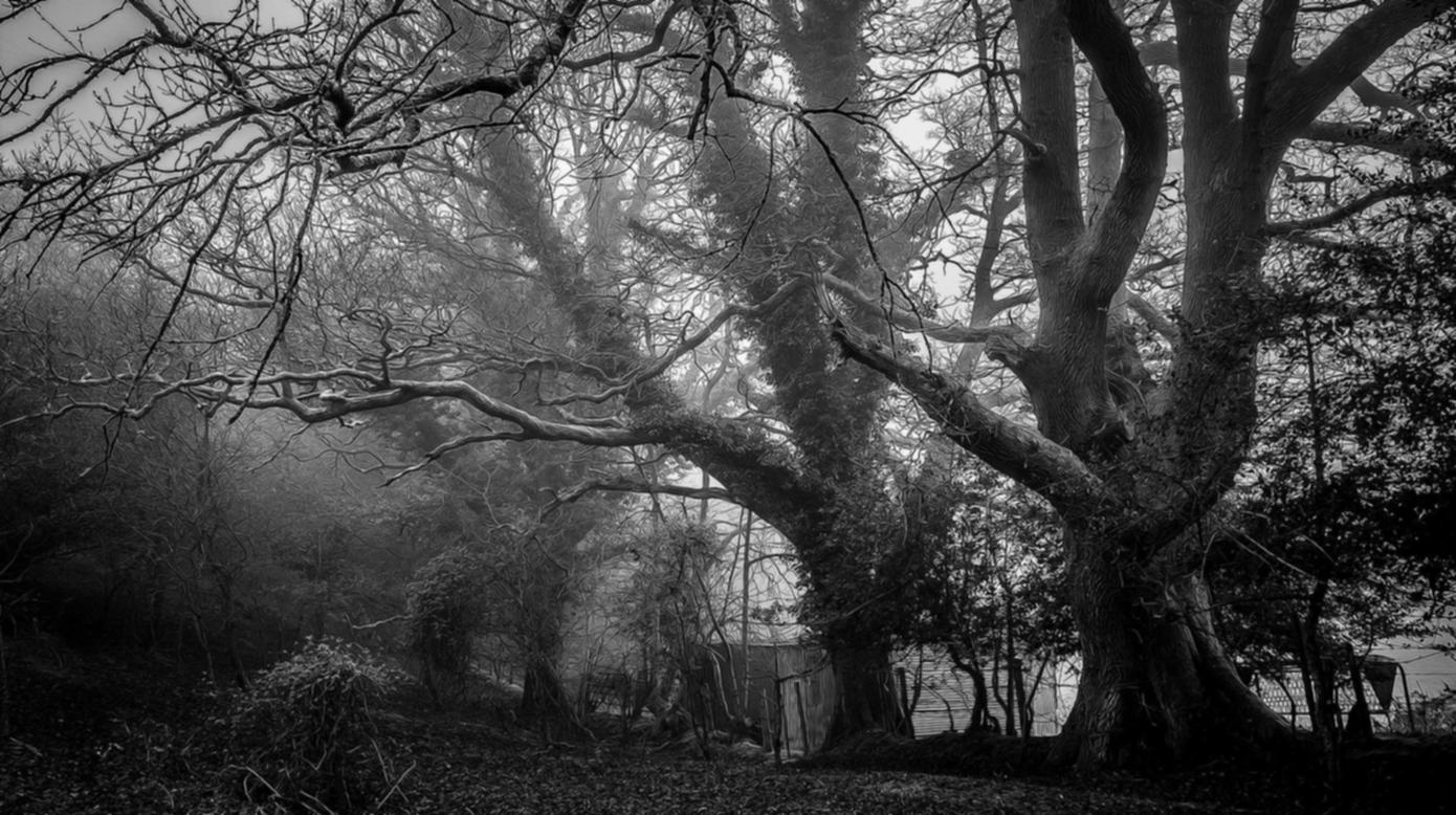 吸烟威胁社会福利的众多问题