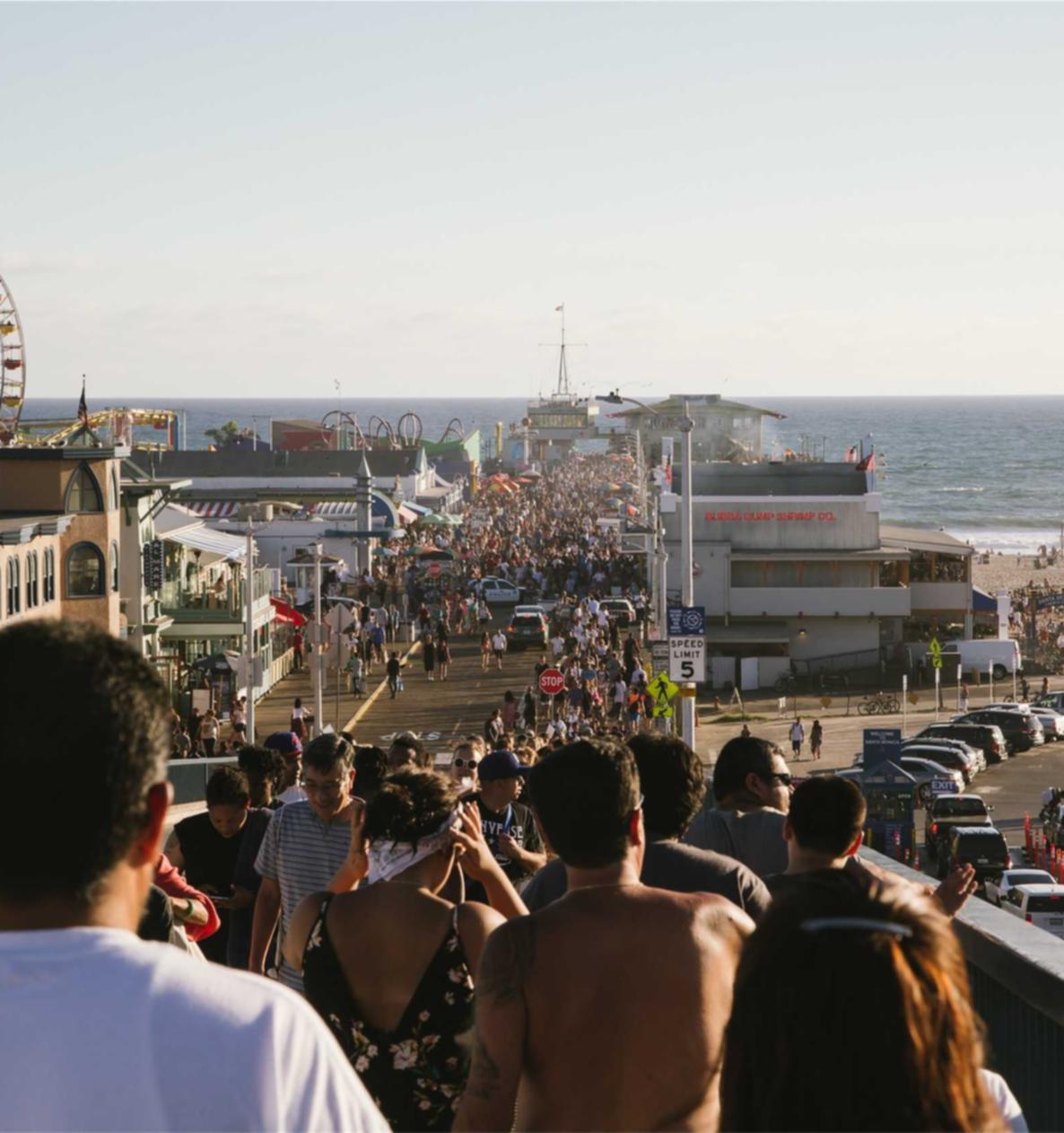 诛仙3:风险管理平台 代理 判刑